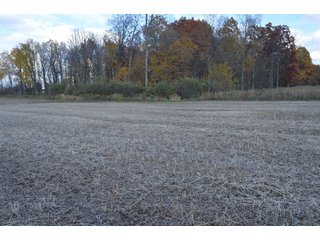 Property photo 4 - 127 Acres Offered in 8 Tracts - Allen & Dekalb County Land
